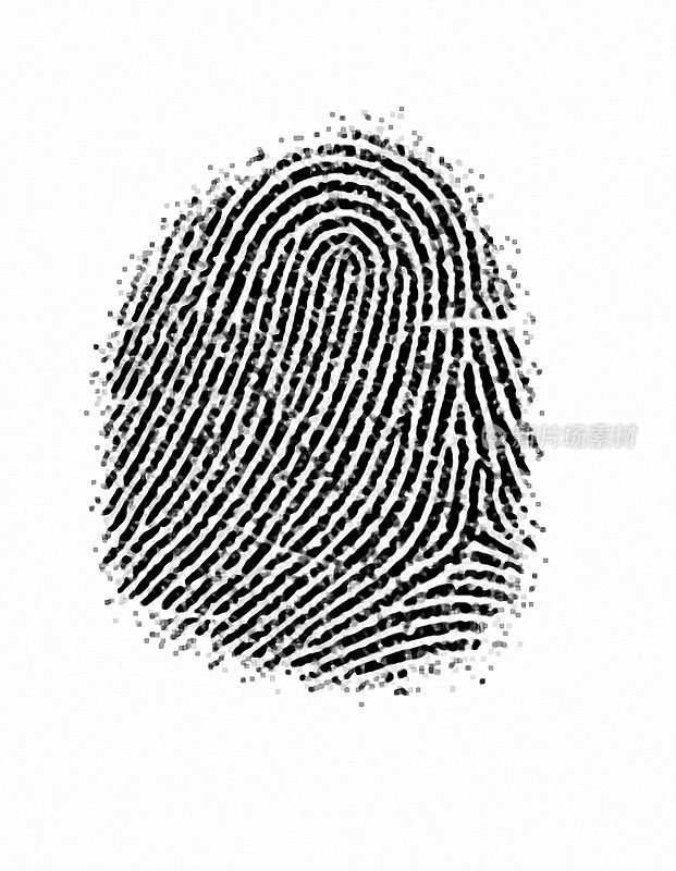 Fingerprint texture 6